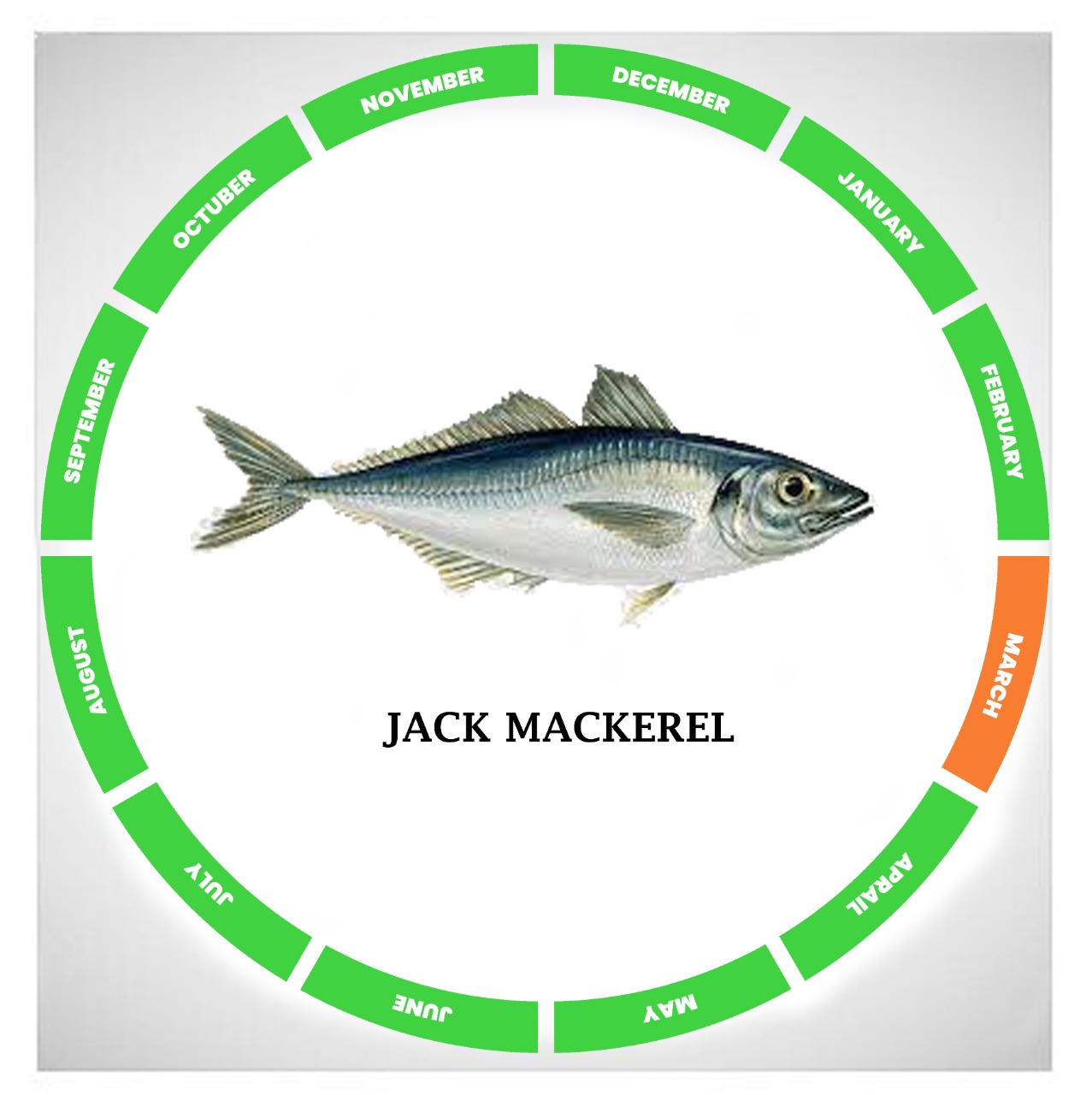 WhatsApp Image 2022-10-20 at 11.18.43 AM