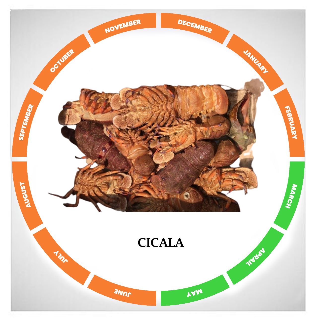 WhatsApp Image 2022-11-02 at 3.19.15 AM (1)