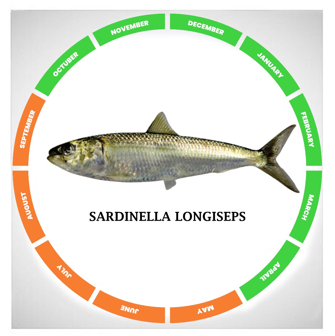 WhatsApp Image 2022-11-03 at 6.30.37 PM